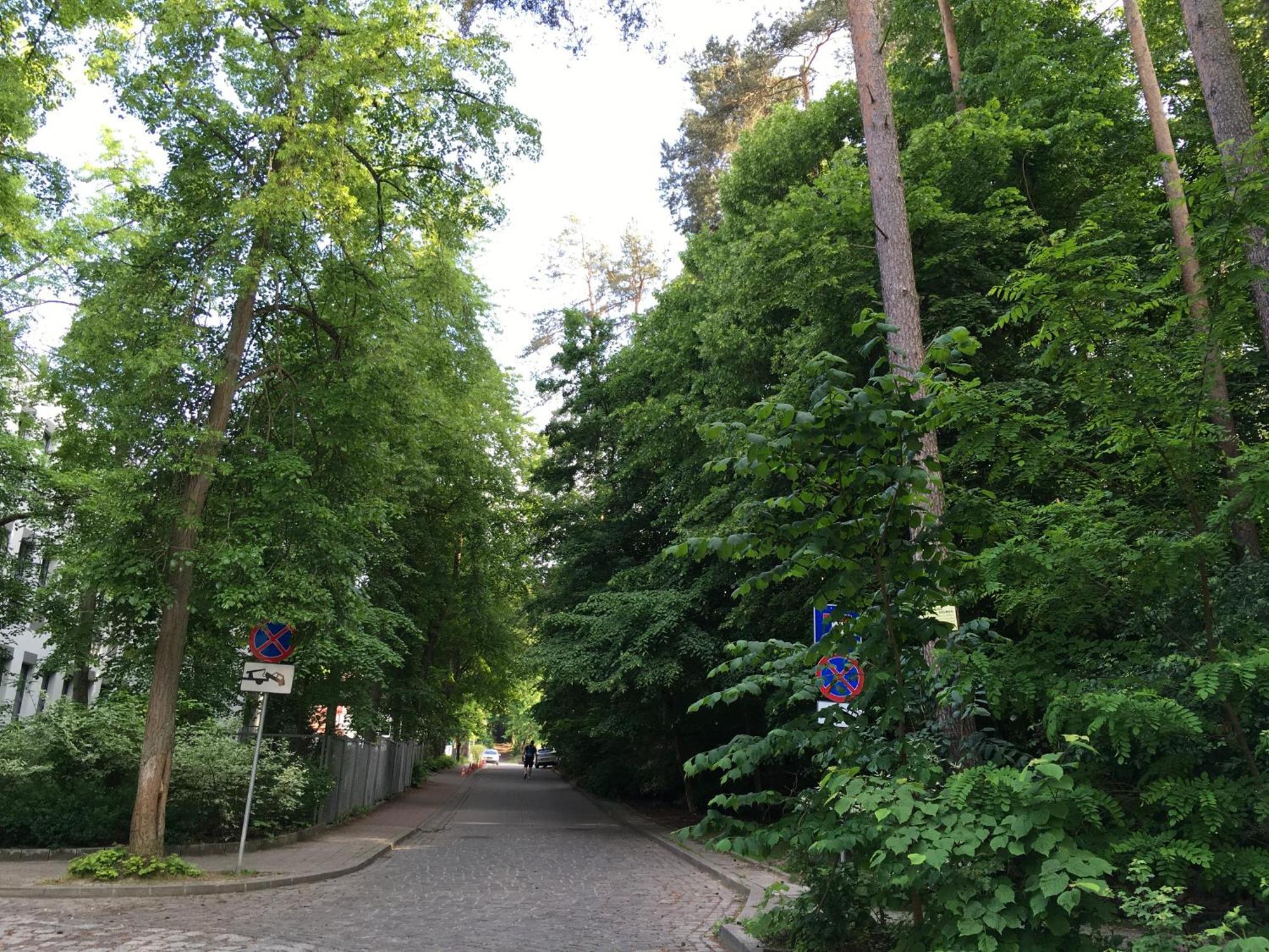 Przytulny Apartament Blisko Lasu Z Szybkim Wi-Fi Sopoty Exteriér fotografie